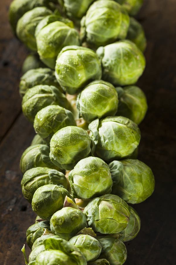 Surowy Zielony Organicznie Brussel - flance obraz stock Surowy Zielony Organicznie Brussel - flance obraz stock