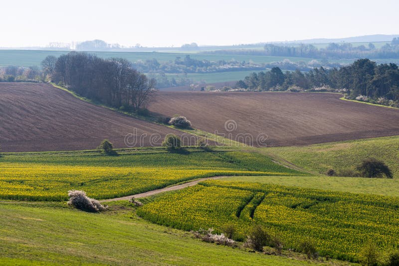 Surpreendente paisagem de primavera colorida com campo amarelo de colza florida e fazenda de campo arável imagem de stock royalty free Surpreendente paisagem de primavera colorida com campo amarelo de colza florida e fazenda de campo arável imagem de stock royalty free