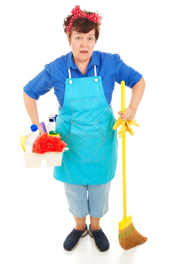 Mr Clean And Maid Costumes