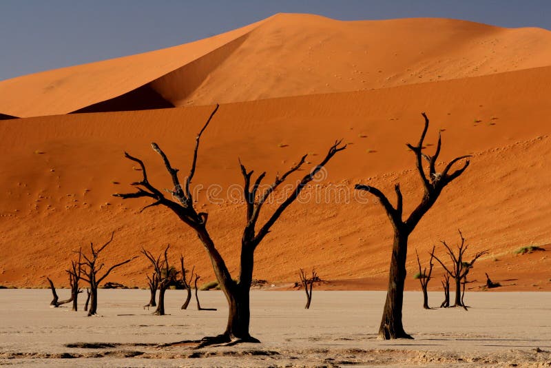 Surreal imagens de stock royalty free Surreal imagens de stock royalty free