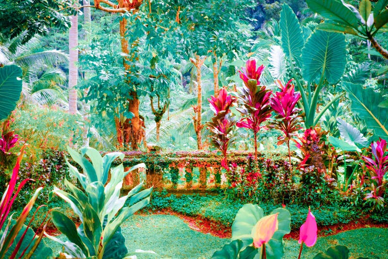 Surreal colors of fantasy tropical garden royalty free stock photography Surreal colors of fantasy tropical garden royalty free stock photography