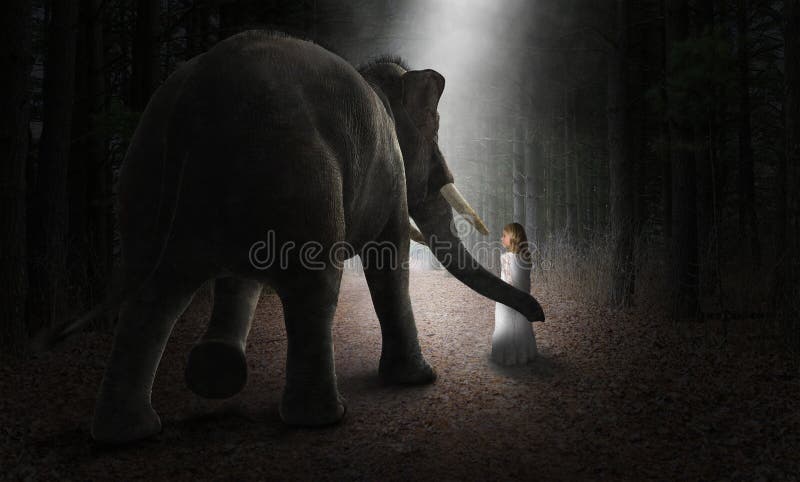 Surreal Elephant, Girl, Friends, Love, Nature