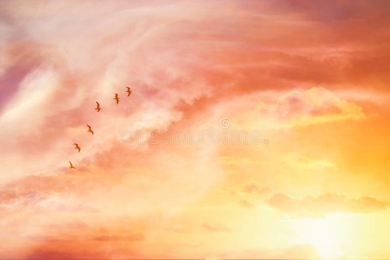 surreal enigmatic picture of flying birds in sunset or sunrise sky . minimalism and dream concept. royalty free stock photos surreal enigmatic picture of flying birds in sunset or sunrise sky . minimalism and dream concept. royalty free stock photos