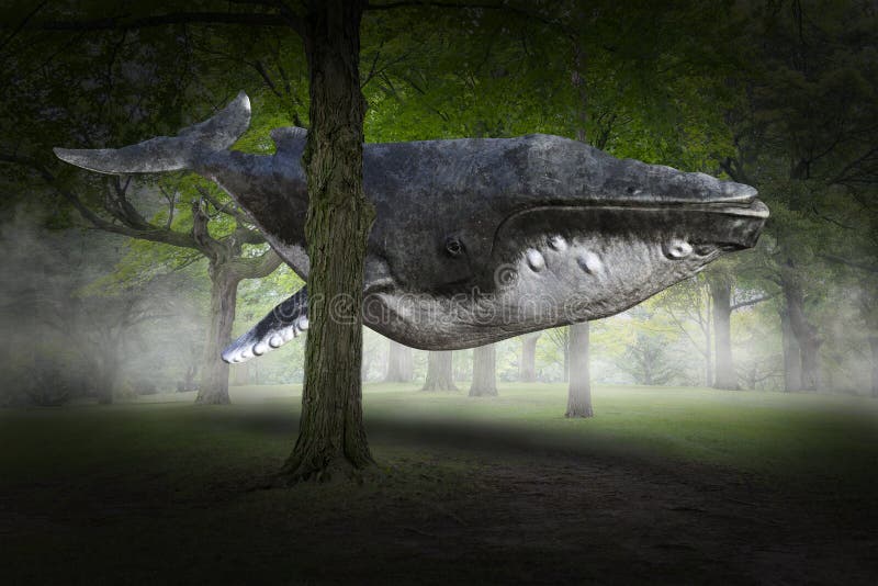matrix vigtig Konsulat Surreal Flying Whale, Forest, Nature Stock Image - Image of rebirth,  surrealism: 124744301