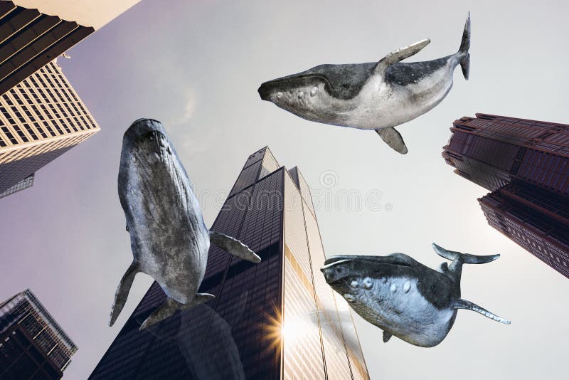 Surreal Flying Whales, City Buildings