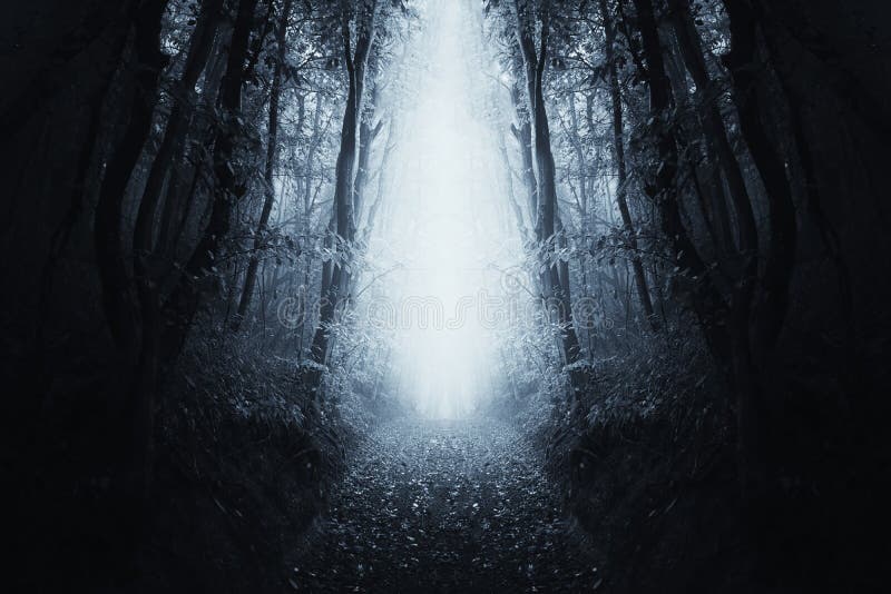 Surreal forest path with blue fog