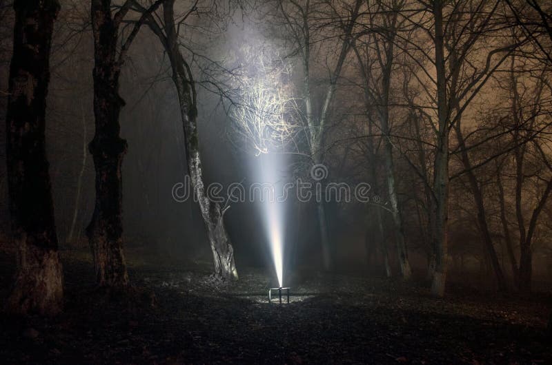Surreal light in dark forest, Magic fantasy lightsin the fairy tale foggy forest stock photography Surreal light in dark forest, Magic fantasy lightsin the fairy tale foggy forest stock photography