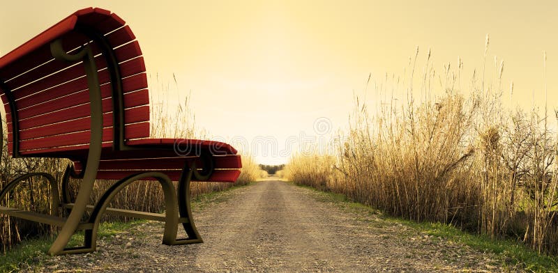 Surreal park bench