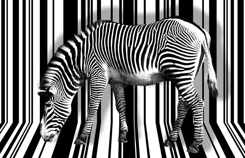Surreal zebra royalty free stock photography