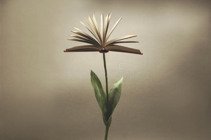 Surreala växter med en öppen bok som ersätter blomman. fantasi