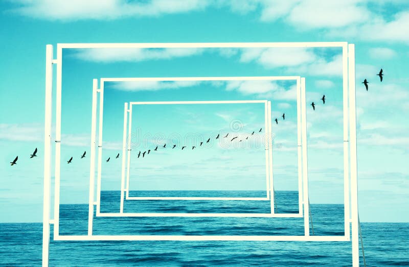 surreal enigmatic picture of flying birds and frame . beach landscape. surreal enigmatic picture of flying birds and frame . beach landscape