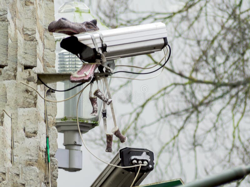 Surveillance Camera on a Wall Stock Photo - Image of camera, alarm: 145921182 Surveillance Camera on a Wall Stock Photo - Image of camera, alarm: 145921182