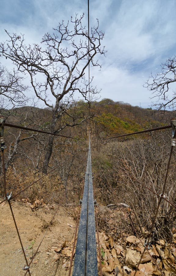 Suspension Bridge Over the Creek in the Woods Stock Image Image of