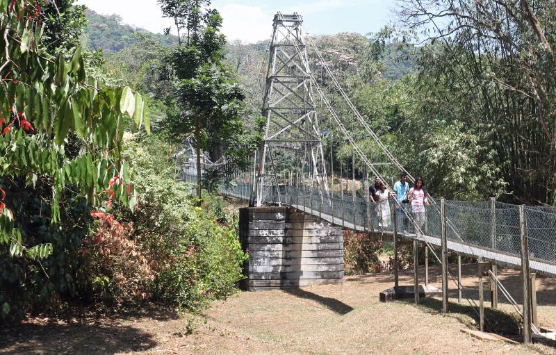 Suspension bridge to the botanical gardens