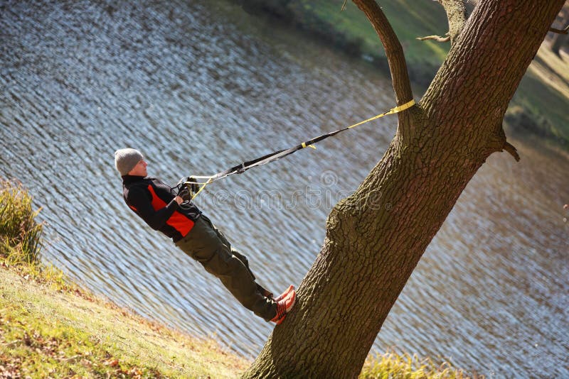 Suspension workout on tree