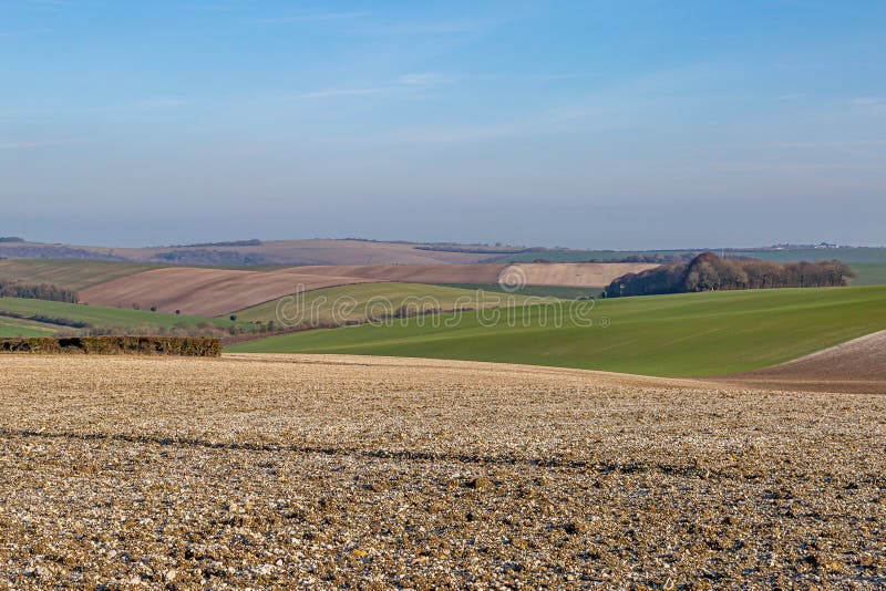 Sussex Farmland in Winter stock foto Sussex Farmland in Winter stock foto