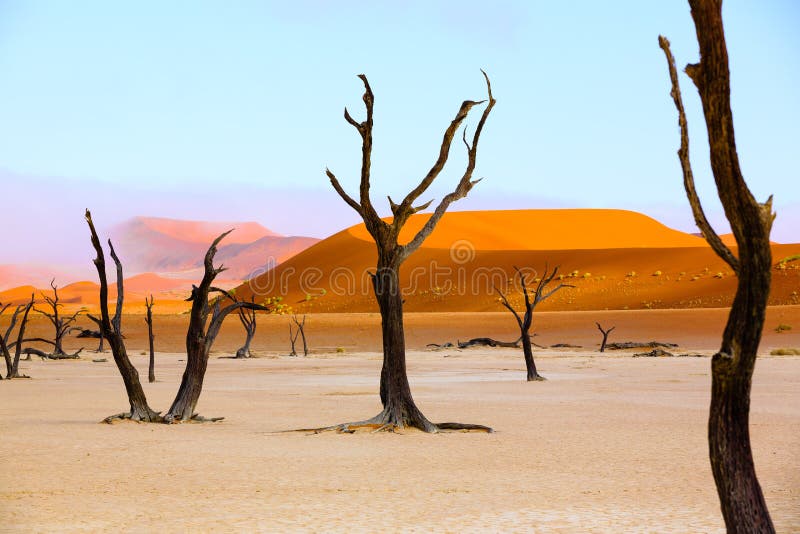 Sussusvlei Deadvlei - Namibië stock afbeelding Sussusvlei Deadvlei - Namibië stock afbeelding