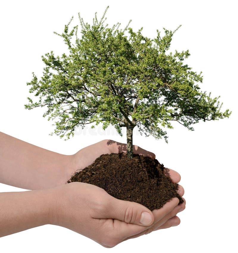 Sustainability stockfotos