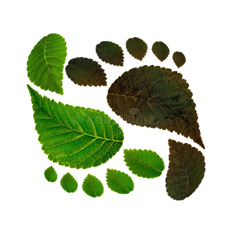 Sostenibilità, dell'ecologia contro l'inquinamento ambientale, il concetto di impronta di carbonio.