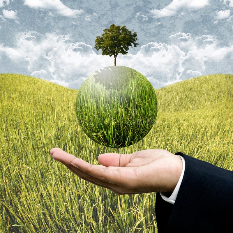 Sustainable Agriculture Business Stock Photo - Image of nature, field: 37245298 Sustainable Agriculture Business Stock Photo - Image of nature, field: 37245298