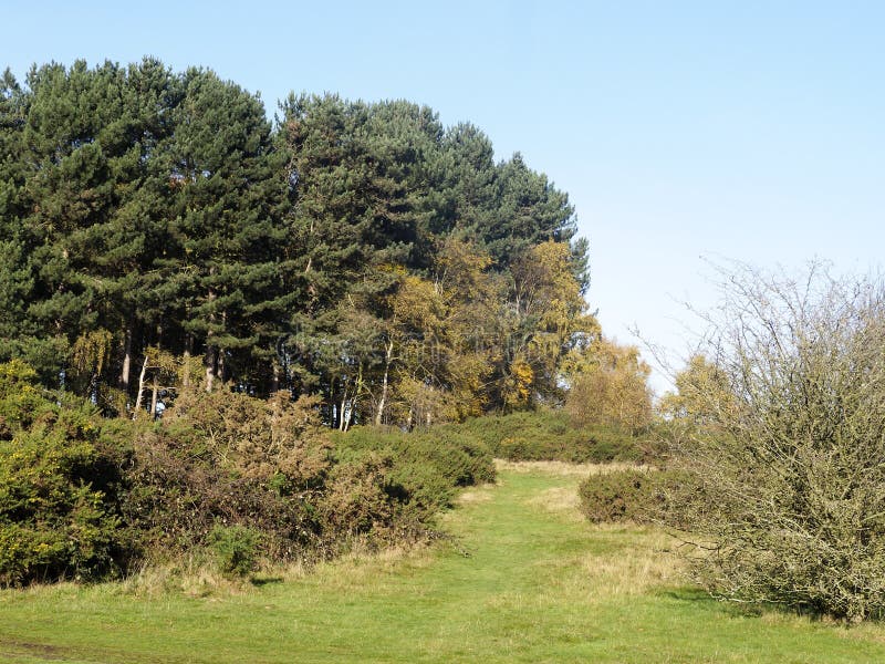 Sutton Park west Midlands stock photo. Image of park - 103963162