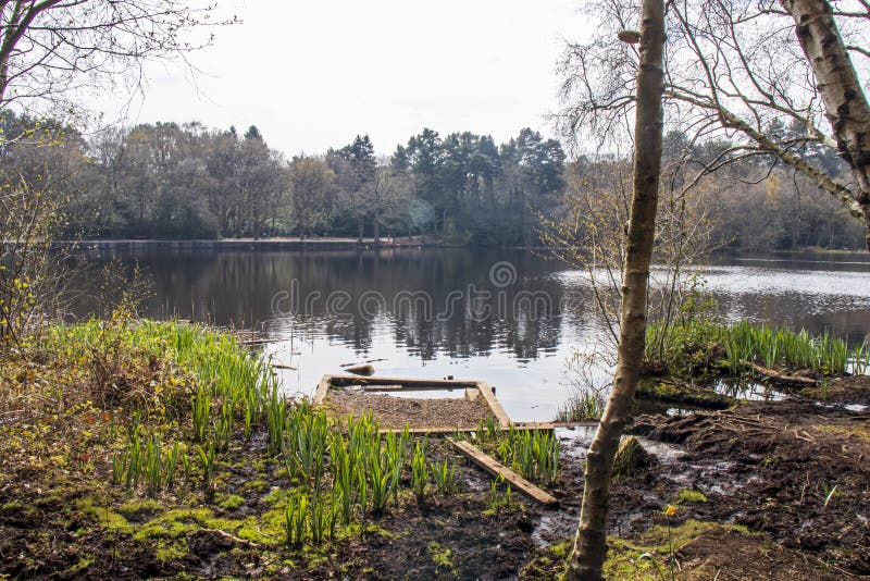 Sutton Park, West Midlands, England - Beautiful View in the Park, April