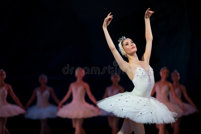 Svan för vit för Prima ballerina arkivbild Svan för vit för Prima ballerina arkivbild