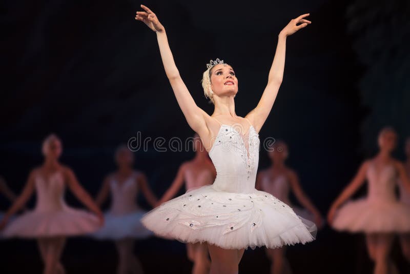 Svan för vit för Prima ballerina arkivbild Svan för vit för Prima ballerina arkivbild