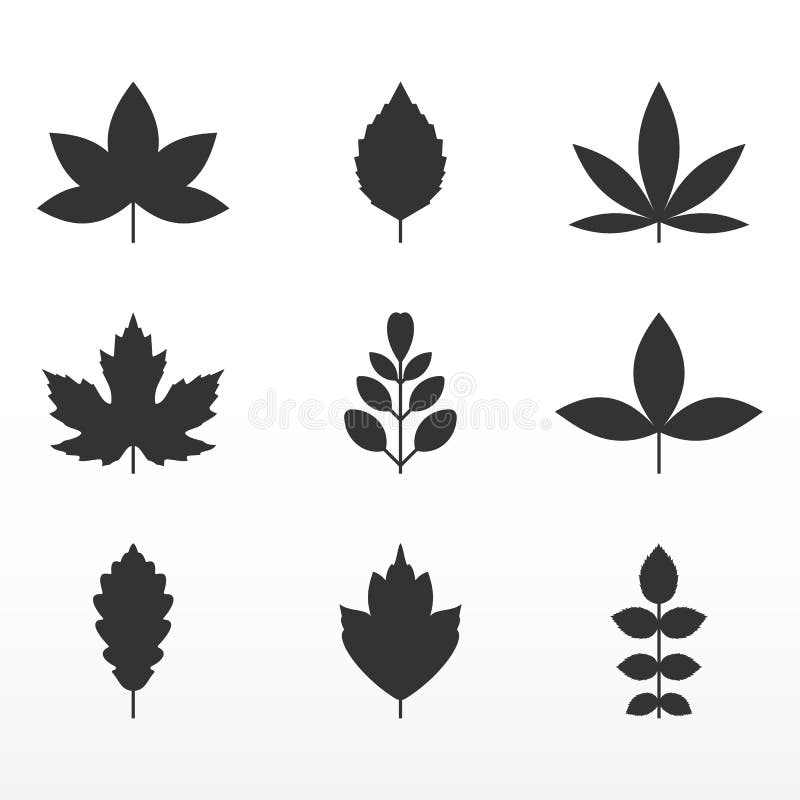 Svart bladuppsättning Tillväxtsymbolsymbol vektor illustrationer
