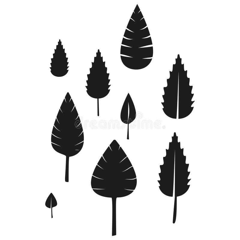 Svart bladvektor. Silhouette-trädform. Monokromt botaniskt formulär. Naturbladssymbol. vektor illustrationer