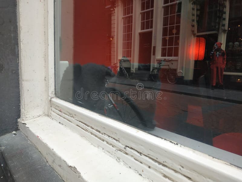 Svart katt i f?nstret royaltyfri fotografi Svart katt i f?nstret royaltyfri fotografi