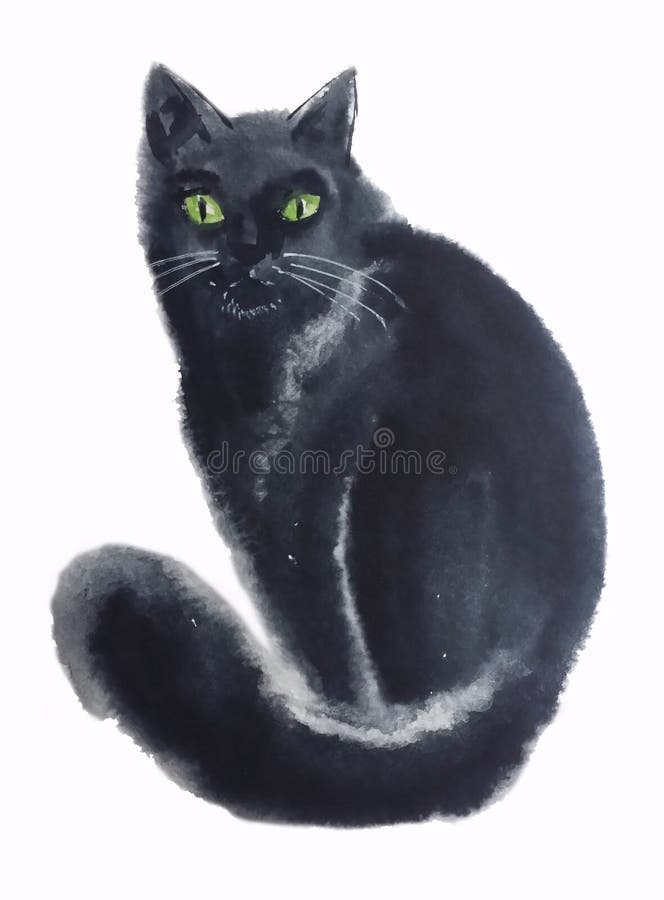 Svart katt med en fluffig svans royaltyfria foton Svart katt med en fluffig svans royaltyfria foton