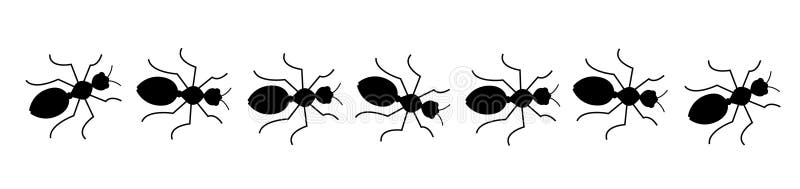 Svart linje för myror