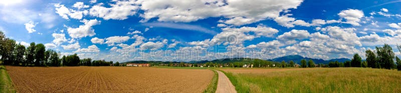 svart skogpanorama arkivfoto svart skogpanorama arkivfoto