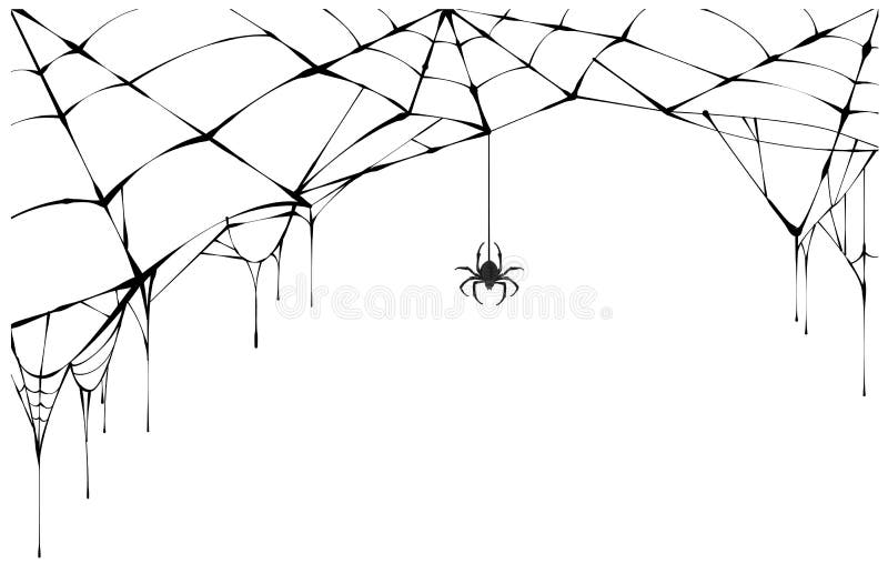 Svart spindel och sönderriven rengöringsduk Läskig spiderweb av det halloween symbolet stock illustrationer Svart spindel och sönderriven rengöringsduk Läskig spiderweb av det halloween symbolet stock illustrationer