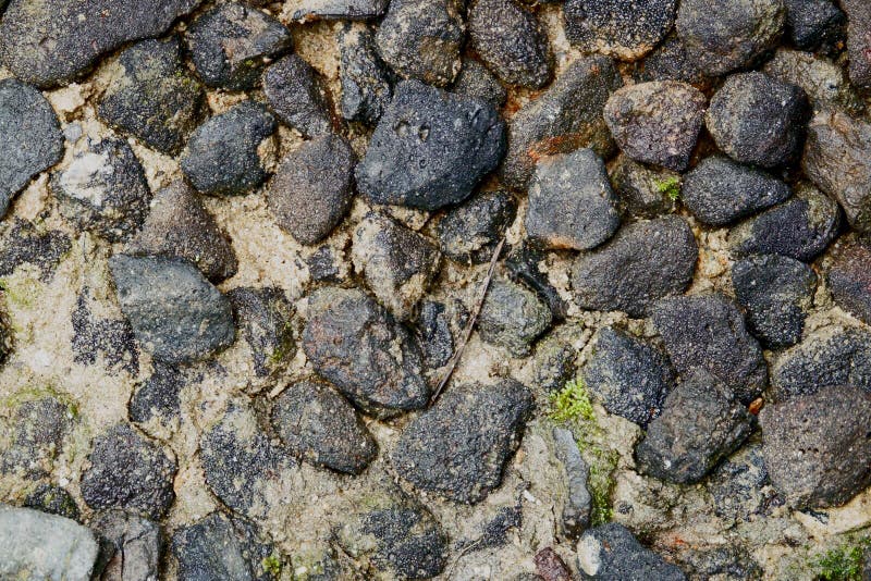 Svart sten på våt sand royaltyfria bilder Svart sten på våt sand royaltyfria bilder