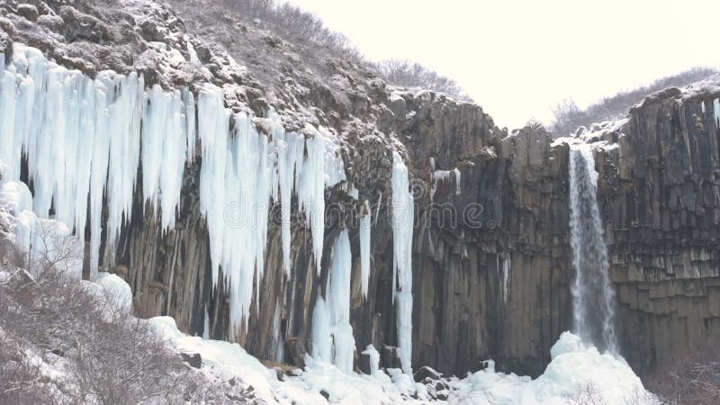 Svartifoss waterfall with hexagonal basalt columns