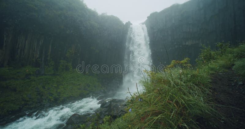 Svartifoss waterfall in Iceland Known as Black Falls and it is located in Skaftafell in Vatnajokull National Park