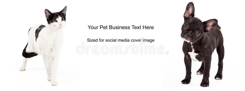 Svartvit hund Cat Cover Photo fotografering för bildbyråer Svartvit hund Cat Cover Photo fotografering för bildbyråer