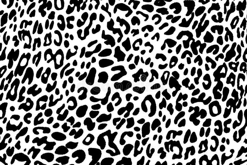 Svartvit leopardhudmodell royaltyfri illustrationer