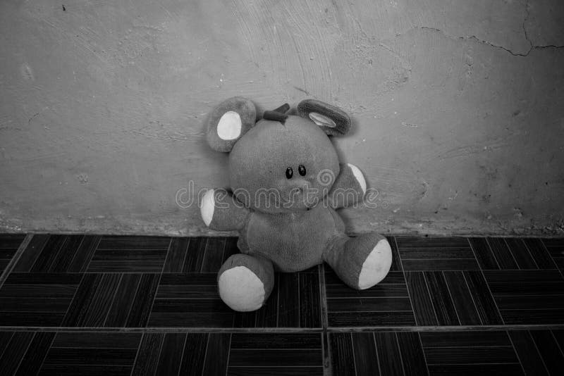 Svartvit stående av en isolerade fluffiga Toy Teddy Bear arkivfoton Svartvit stående av en isolerade fluffiga Toy Teddy Bear arkivfoton