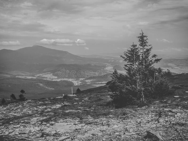 Svartvitt berglandskap uppifrån av det Pilsko berget i Polen, en sikt av Babia Góra royaltyfri bild Svartvitt berglandskap uppifrån av det Pilsko berget i Polen, en sikt av Babia Góra royaltyfri bild