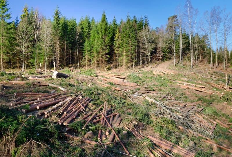 Horizontal landscape of deforestation symbols in southern Sweden. Horizontal landscape of deforestation symbols in southern Sweden