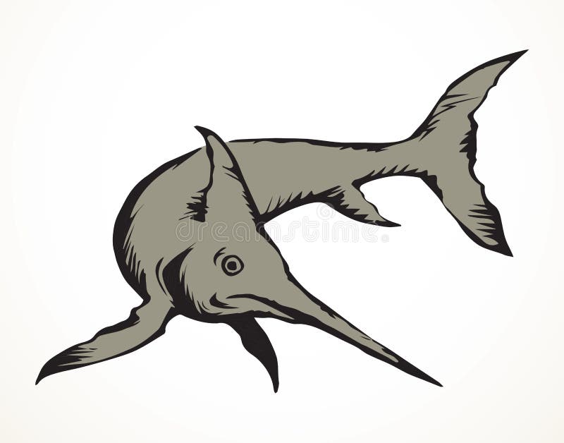 Svärdfisk. vektorritning av havsdjur. Gråfärg xiphias bredprots (tonfisk float). textrymmesbakgrund för lätt papper. Fritt, linjärt svart bläckpennritad zoopobjektdesign. Skriv ut stil för grafik med retro-pennhandtag. stängningsvy