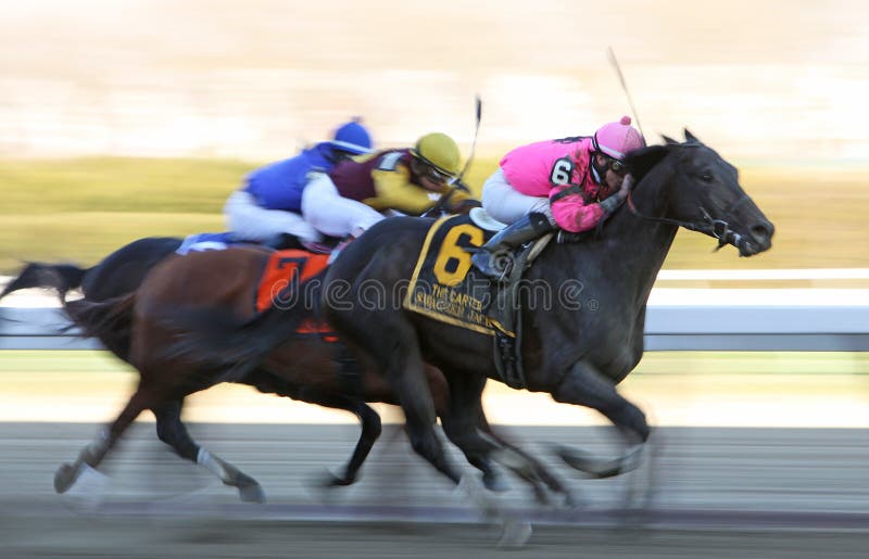 Swagger Jack Wins The Carter Handicap