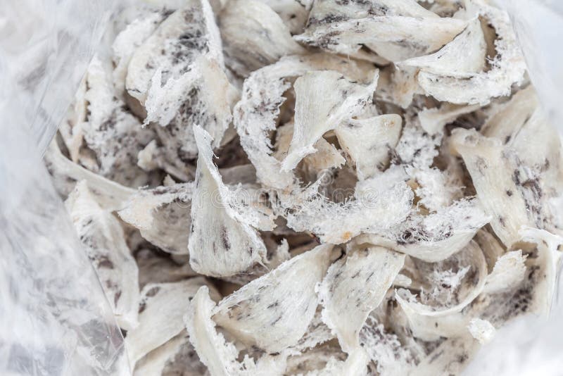 Swallow bird nest in plastic bag royalty free stock photography Swallow bird nest in plastic bag royalty free stock photography