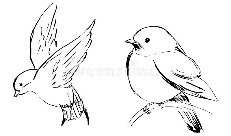 Cool Sketch drawing fying birds with old people caricatures for Drawing Ideas