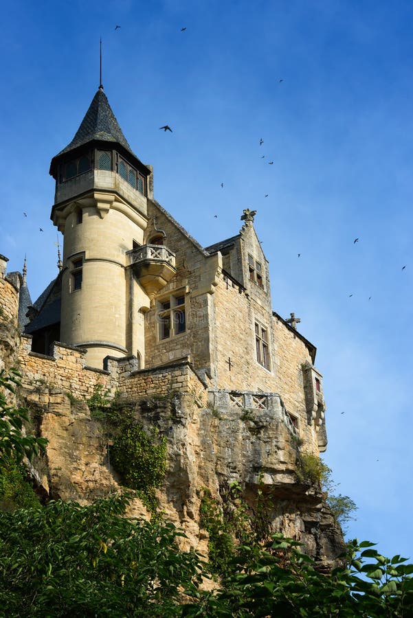 Swallows flying around Montfort castle