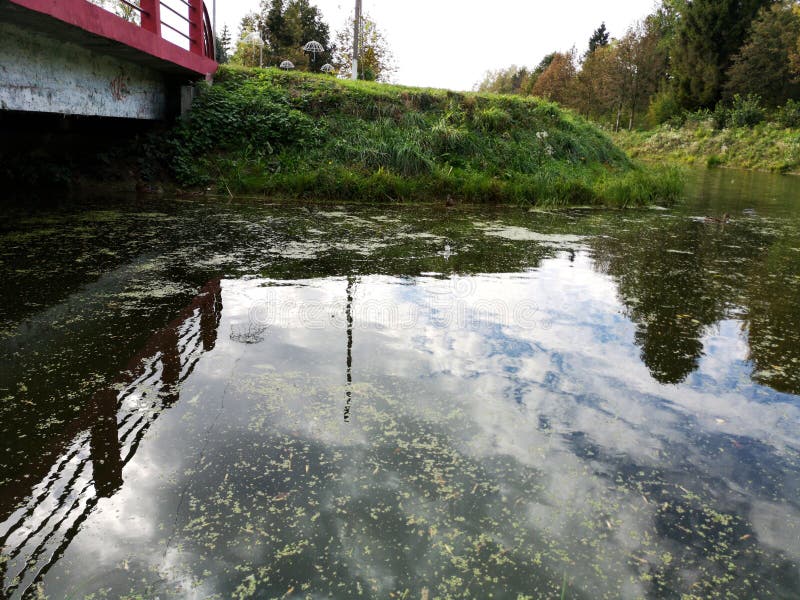Swamp duckweed green water and broken bridge view stock photos Swamp duckweed green water and broken bridge view stock photos