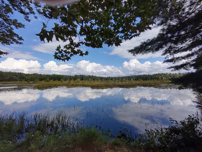 Swamp, Milton NH MILTON 3 PONDS Stock Photo Image of grass, autumn